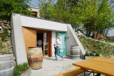 Ab in den Weinkeller...- Theresa Bentz.jpg